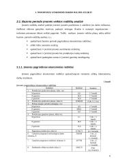 Įmonės veiklos taktinis planavimas 6 puslapis