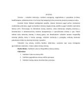 Lietuvos Respublikos teismų sistema ir teismų veikla 3 puslapis