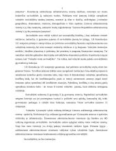 Lietuvos Respublikos vietos savivalda 2 puslapis