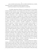 Lietuvos Respublikos vietos savivalda 5 puslapis