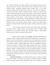 Lietuvos Respublikos vietos savivalda 6 puslapis