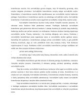 Lietuvos Respublikos vietos savivalda 7 puslapis