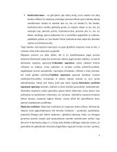 Mąstymas ir kalba 8 puslapis