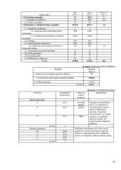 Įmonės veiklos finansinis ir taktinis planavimas 13 puslapis