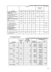 Įmonės veiklos finansinis ir taktinis planavimas 17 puslapis