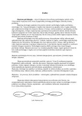 Mąstymas. Mąstymo operacijos ir jo ypatybės 3 puslapis