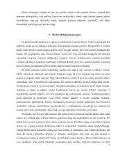 Meilė bei draugystė 7 puslapis