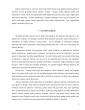 Meilė bei draugystė 9 puslapis