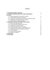 Įmonės veiklos taktinis ir finansinis planavimas 2 puslapis