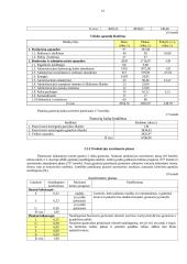 Įmonės veiklos taktinis ir finansinis planavimas 13 puslapis