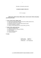 Įmonės veiklos taktinis ir finansinis planavimas 3 puslapis