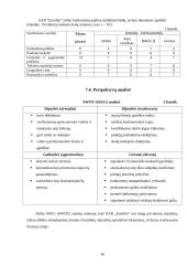 Įmonės verslo aplinka: prekyba automobilių kosmetikos prekėmis UAB "Emolita" 16 puslapis