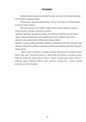 Įmonės verslo aplinka: prekyba automobilių kosmetikos prekėmis UAB "Emolita" 20 puslapis