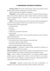 Įmonės verslo aplinka: prekyba automobilių kosmetikos prekėmis UAB "Emolita" 5 puslapis