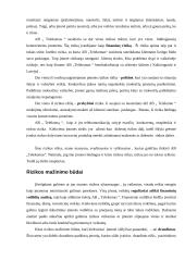 Įmonės verslo rizika ir jos mažinimo galimybės: AB "Lietuvos telekomas" 11 puslapis