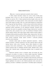 Mokymosi motyvacijos veiksniai 3 puslapis