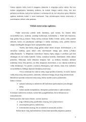 Mokymosi motyvacijos veiksniai 5 puslapis