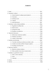 Įmonių nuosavybės struktūrų Lietuvoje analizė 2 puslapis