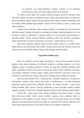 Įmonių nuosavybės struktūrų Lietuvoje analizė 11 puslapis