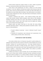 Įmonių nuosavybės struktūrų Lietuvoje analizė 16 puslapis