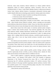 Įmonių nuosavybės struktūrų Lietuvoje analizė 19 puslapis