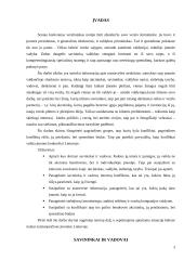 Įmonių nuosavybės struktūrų Lietuvoje analizė 3 puslapis