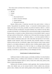 Įmonių nuosavybės struktūrų Lietuvoje analizė 4 puslapis