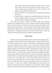 Įmonių nuosavybės struktūrų Lietuvoje analizė 6 puslapis