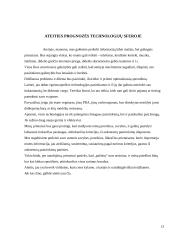 Mokslo ir technikos naujovės tarptautinėje turizmo rinkoje 12 puslapis