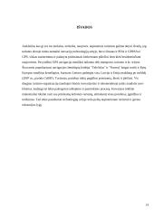 Mokslo ir technikos naujovės tarptautinėje turizmo rinkoje 13 puslapis