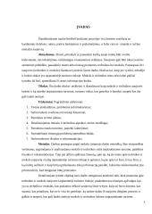 Mokslo ir technikos naujovės tarptautinėje turizmo rinkoje 2 puslapis