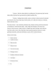 Mokslo ir technikos naujovės tarptautinėje turizmo rinkoje 3 puslapis