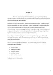 Mokslo ir technikos naujovės tarptautinėje turizmo rinkoje 5 puslapis