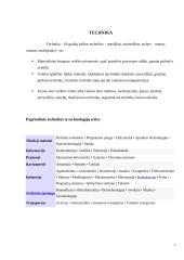 Mokslo ir technikos naujovės tarptautinėje turizmo rinkoje 6 puslapis