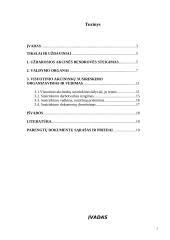 Įmonių steigimas ir valdymo organizavimas 2 puslapis