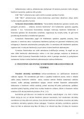 Įmonių steigimas ir valdymo organizavimas 11 puslapis