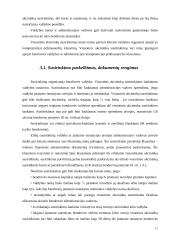 Įmonių steigimas ir valdymo organizavimas 12 puslapis