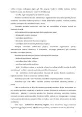 Įmonių steigimas ir valdymo organizavimas 13 puslapis