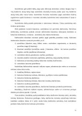 Įmonių steigimas ir valdymo organizavimas 16 puslapis