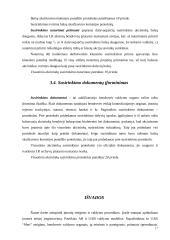 Įmonių steigimas ir valdymo organizavimas 17 puslapis