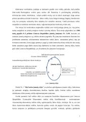 Įmonių steigimas ir valdymo organizavimas 3 puslapis