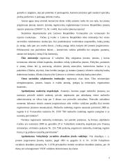 Įmonių steigimas ir valdymo organizavimas 4 puslapis