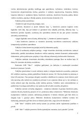 Įmonių steigimas ir valdymo organizavimas 8 puslapis