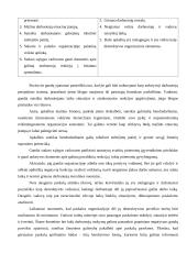 Neformalios organizacijos 12 puslapis