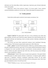 Neformalios organizacijos 13 puslapis