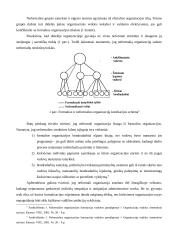 Neformalios organizacijos 5 puslapis