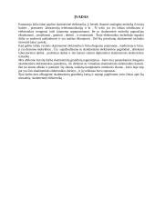 Impulsų generatorius – komutatorius 4 puslapis