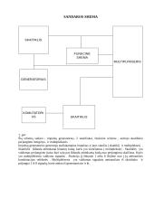 Impulsų generatorius – komutatorius 5 puslapis