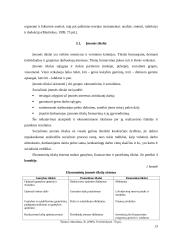 Individualios įmonės (IĮ) esmė, steigimas ir valdymas 13 puslapis