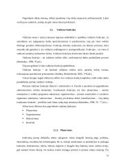 Individualios įmonės (IĮ) esmė, steigimas ir valdymas 15 puslapis